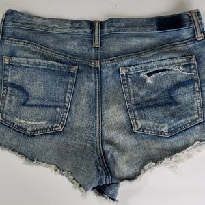 Vintage High Rise Festival Shorts AE
